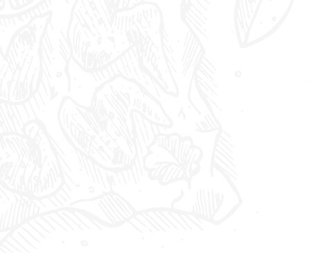 background-top-left-1